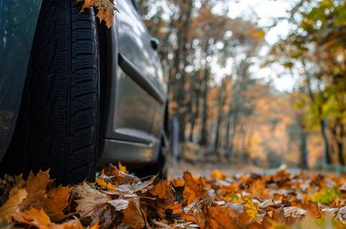 Kādēļ rudens ir viens no nelabvēlīgākajiem laikiem satiksmes drošībai?