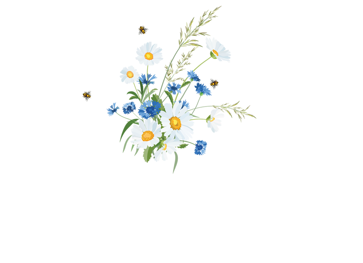 OCTA - быстро, удобно и выгодно!